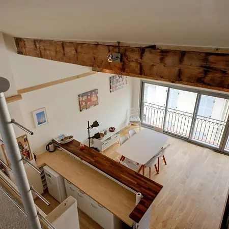 Top Floor Duplex Apt/rooftop Views/mins To Beach 앙티브